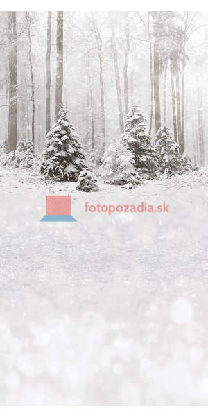 V3604