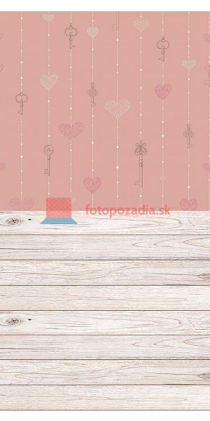 V0090