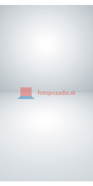 V2753