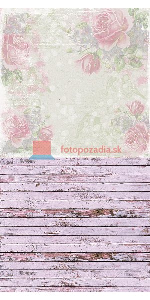 V0024