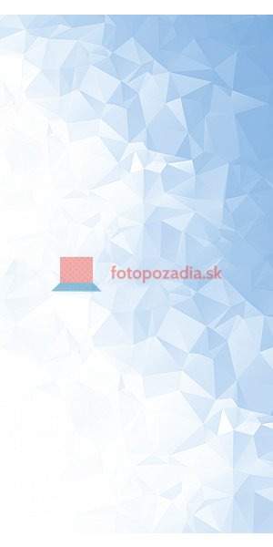 V0803