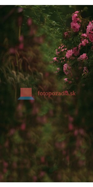 V2999