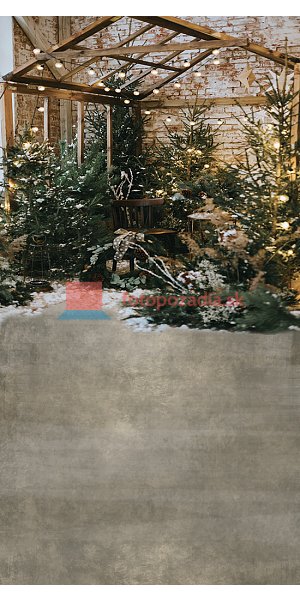 V3574