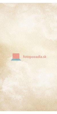 V2856