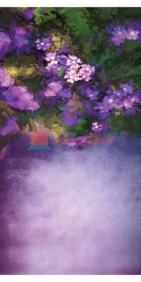 V1144