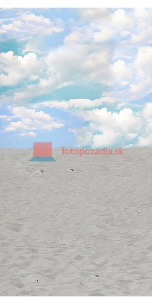 V0001