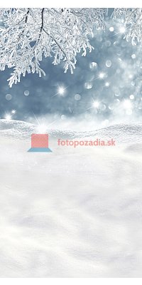 V0779