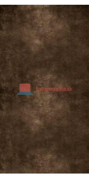 V3003