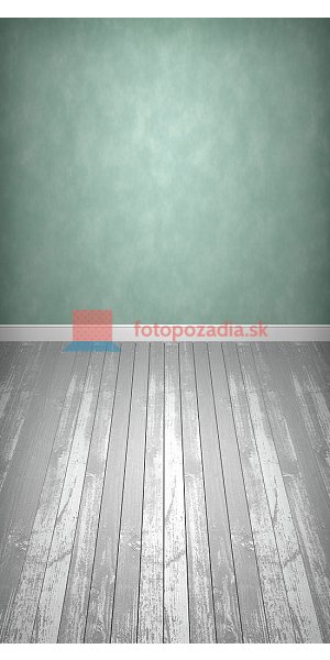 V0031