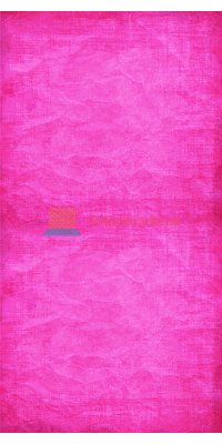 V3278