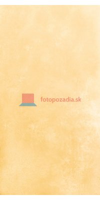 V2003