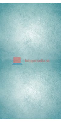 V1208