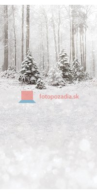 V3604