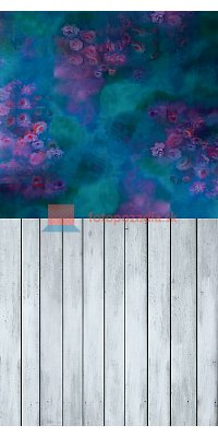 V0213