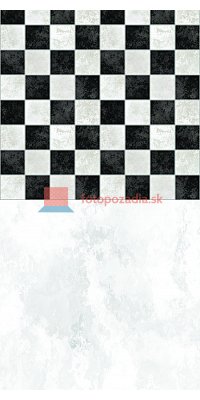 V3069