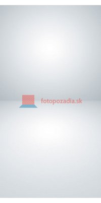 V2753