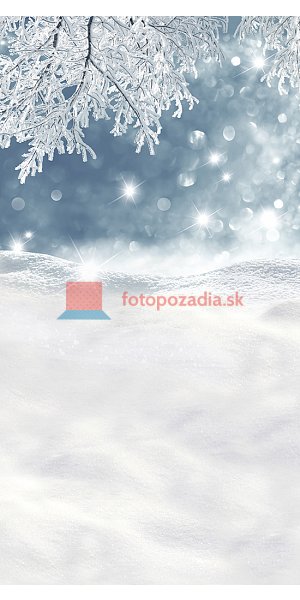 V0779
