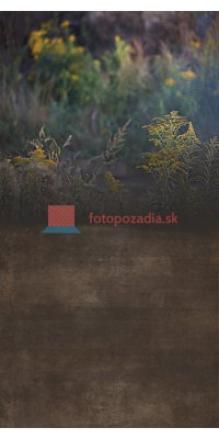 V3001