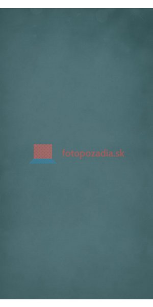 V2874