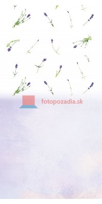 V2785