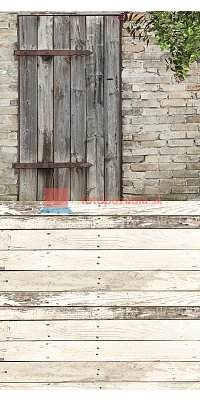 V0062