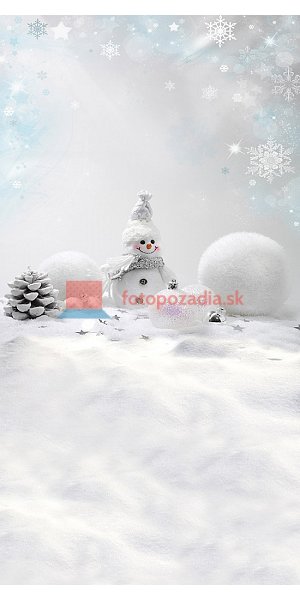 V0684
