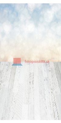 V0278