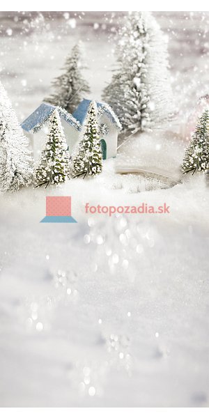 V0778