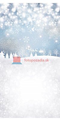 V2988