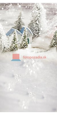 V0778