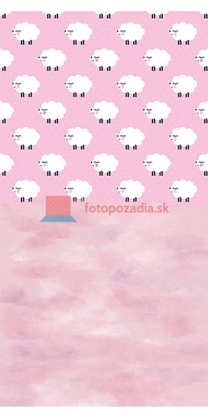 V1116