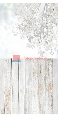 V2976