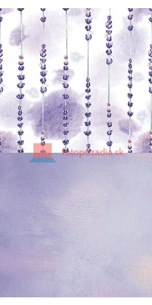 V2779