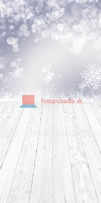 V0580