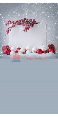 V0691
