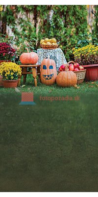 V3449