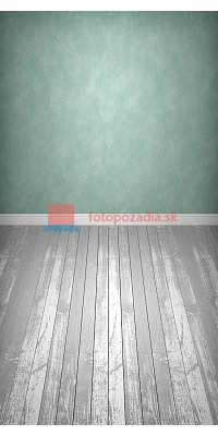 V0031