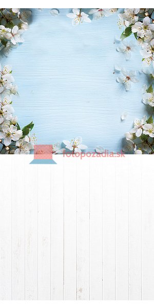 V1555
