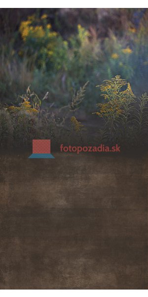 V3001