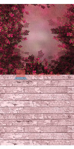 V0065