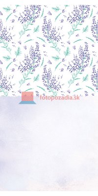 V2782
