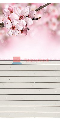 V0217