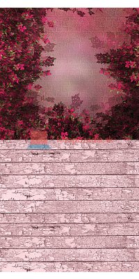 V0065